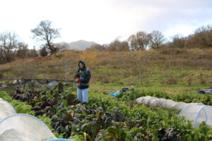Farmer attends to their crop of vegetables on Achray Farm, Stirlingshire