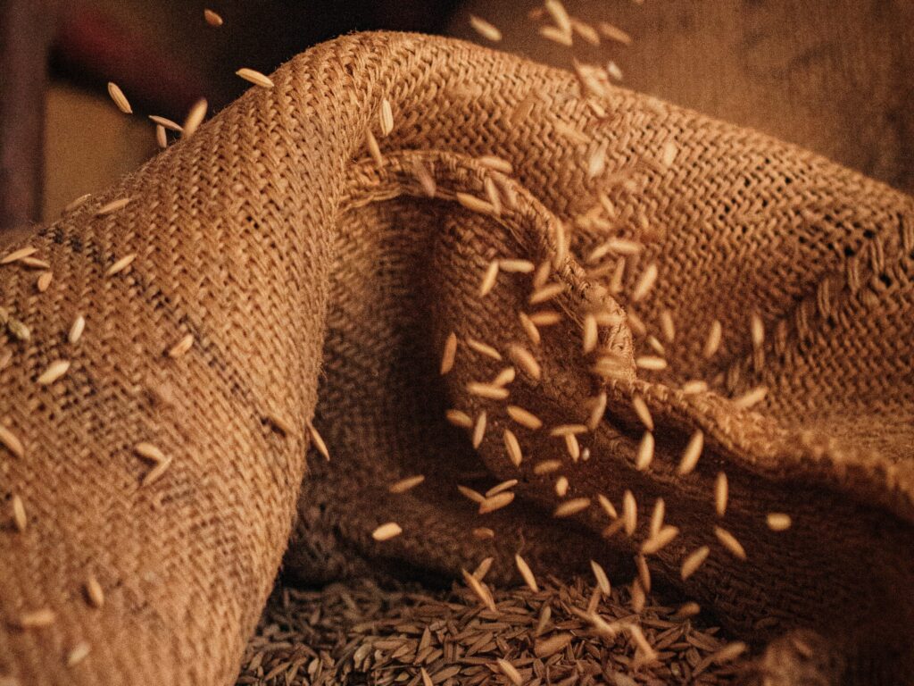 Seeds falling into a hessian sach